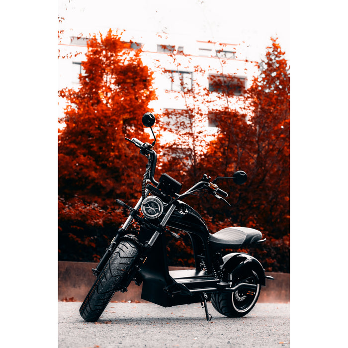 Citytwister 6.0 Max Duo Elektroroller