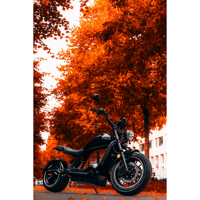 Citytwister 6.0 Max Duo Elektroroller