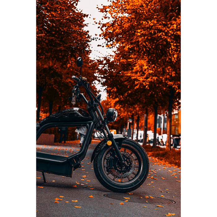 Citytwister 6.0 Max Duo Elektroroller