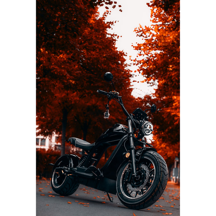 6.0 Premium Duo Elektroroller