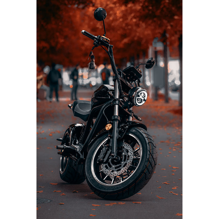 6.0 Premium Duo Elektroroller