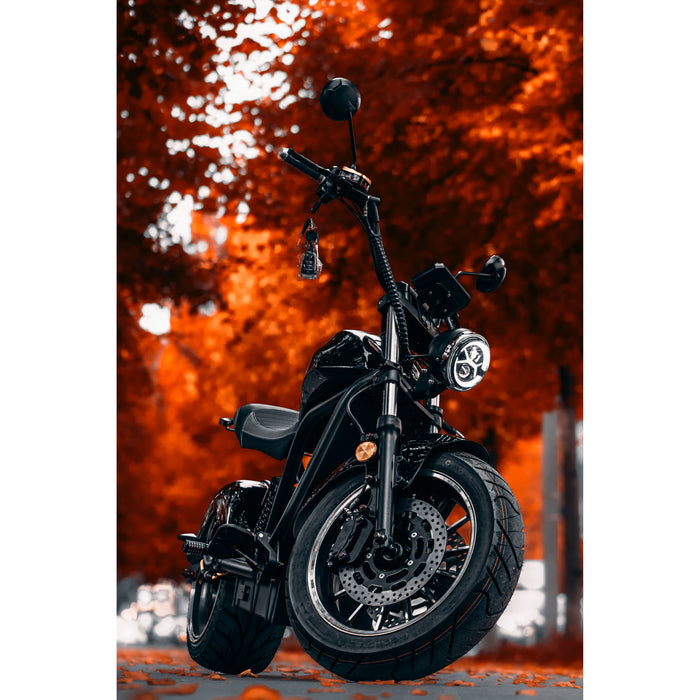 Citytwister 6.0 Max Duo Elektroroller