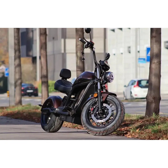 6.0 Premium hat die beste E-Scooter Reichweite - Esomoto Zürich