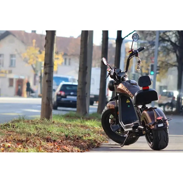 6.0 Premium hat die beste E-Scooter Reichweite - Esomoto Zürich